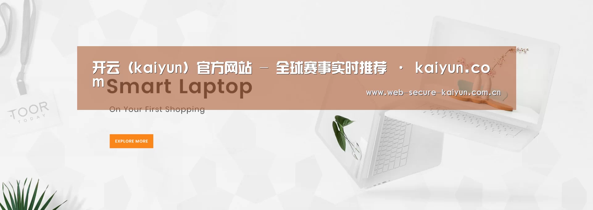 某某网络科技有限公司