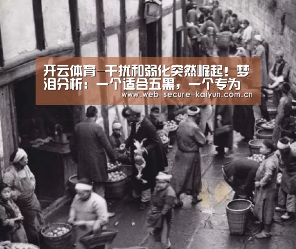 开云体育