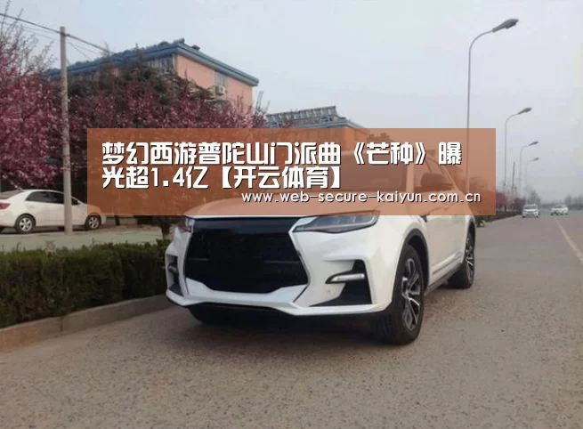 开云体育