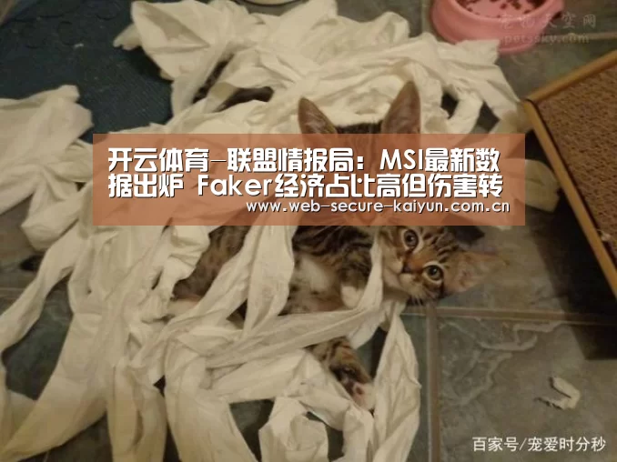 开云体育